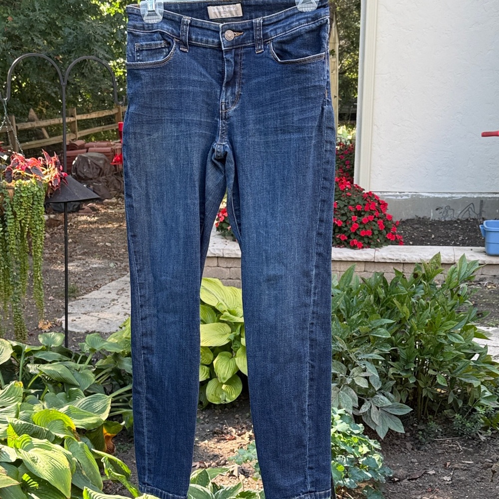 Banana Republic Dark Blue Skinny Jeans